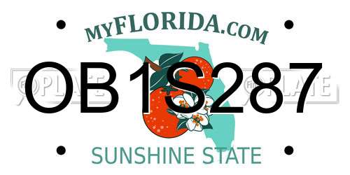 OB1S287 Florida License Plate