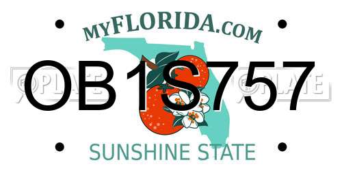 OB1S757 Florida License Plate