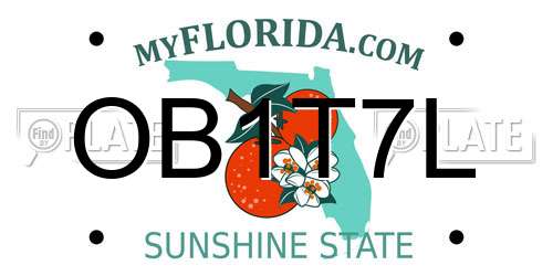 OB1T7L Florida License Plate