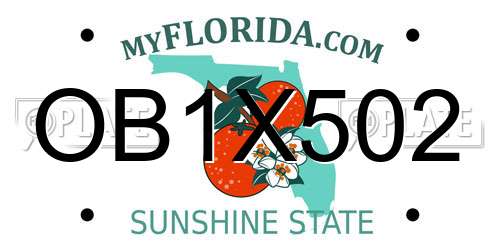 OB1X502 Florida License Plate