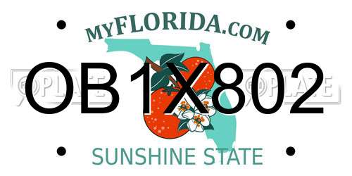 OB1X802 Florida License Plate