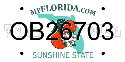 OB26703 Florida License Plate