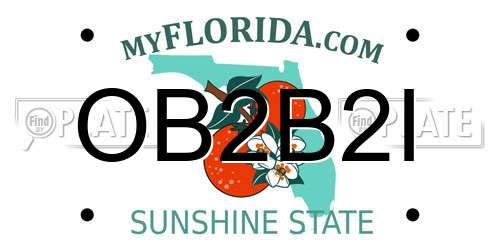OB2B2I Florida License Plate