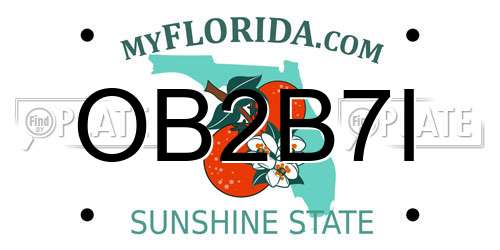 OB2B7I Florida License Plate