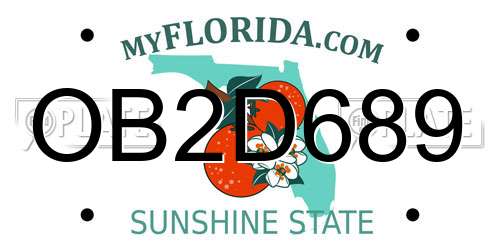 OB2D689 Florida License Plate