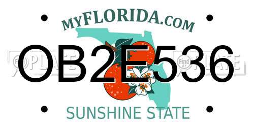 OB2E536 Florida License Plate