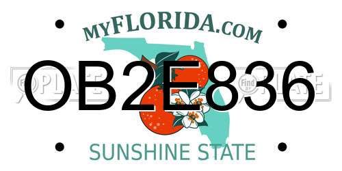 OB2E836 Florida License Plate