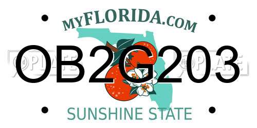 OB2G203 Florida License Plate