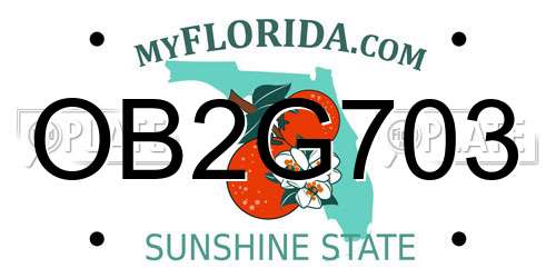 OB2G703 Florida License Plate