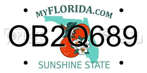 OB2Q689 Florida License Plate
