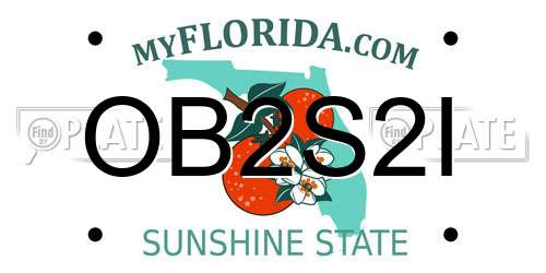OB2S2I Florida License Plate