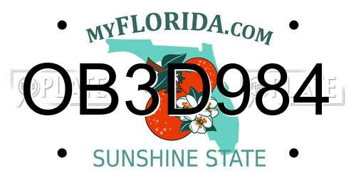 OB3D984 Florida License Plate