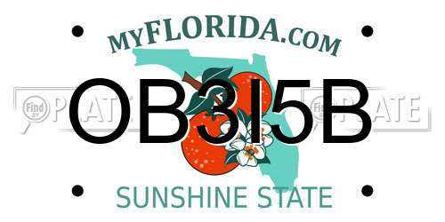 OB3I5B Florida License Plate