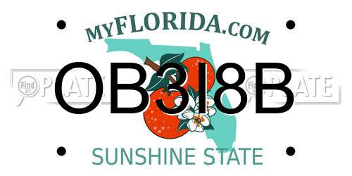 OB3I8B Florida License Plate