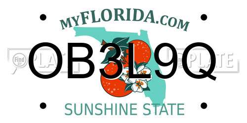 OB3L9Q Florida License Plate