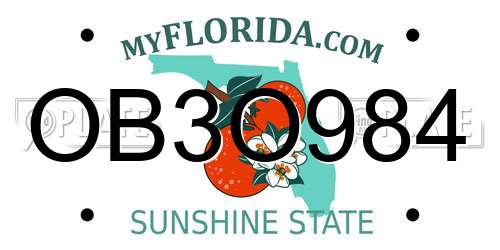 OB3O984 Florida License Plate
