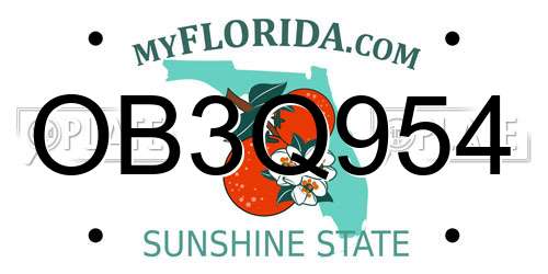 OB3Q954 Florida License Plate