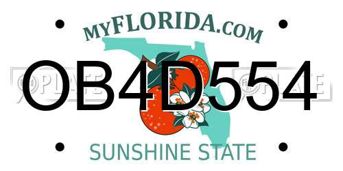 OB4D554 Florida License Plate