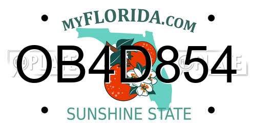 OB4D854 Florida License Plate