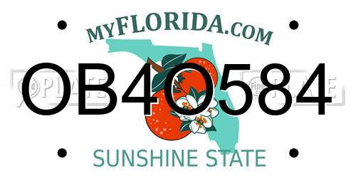OB4O584 Florida License Plate