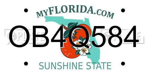 OB4Q584 Florida License Plate
