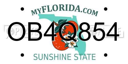 OB4Q854 Florida License Plate