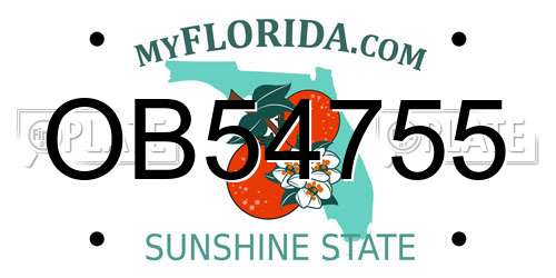 OB54755 Florida License Plate