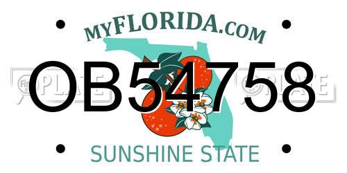 OB54758 Florida License Plate
