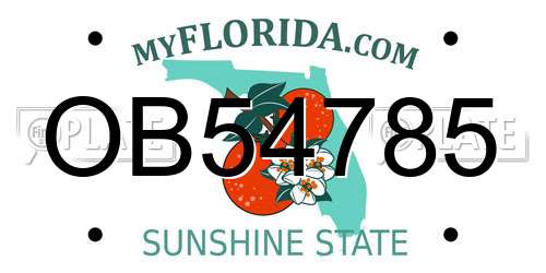 OB54785 Florida License Plate