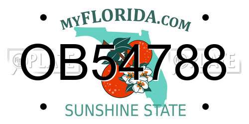 OB54788 Florida License Plate