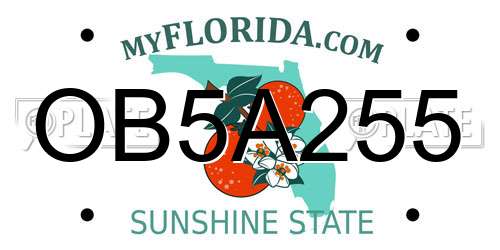 OB5A255 Florida License Plate