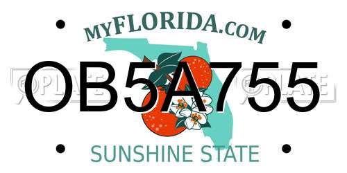 OB5A755 Florida License Plate