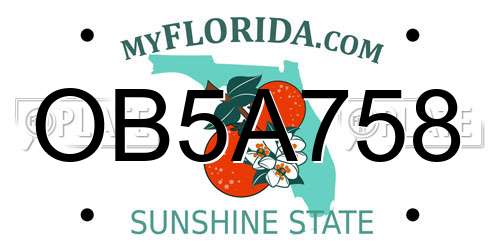 OB5A758 Florida License Plate