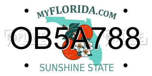 OB5A788 Florida License Plate
