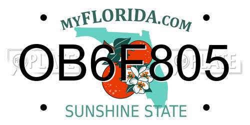 OB6F805 Florida License Plate