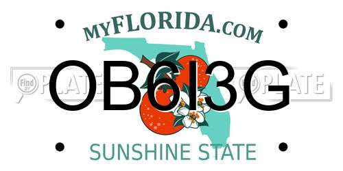 OB6I3G Florida License Plate
