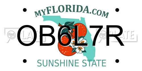OB6L7R Florida License Plate
