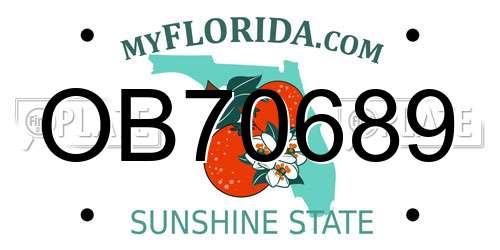 OB70689 Florida License Plate