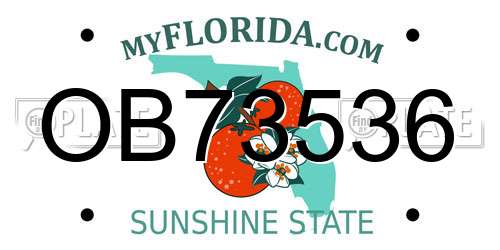 OB73536 Florida License Plate