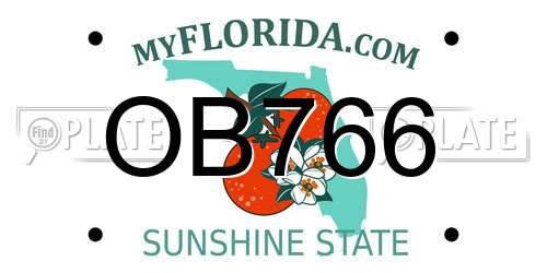 OB766 Florida License Plate