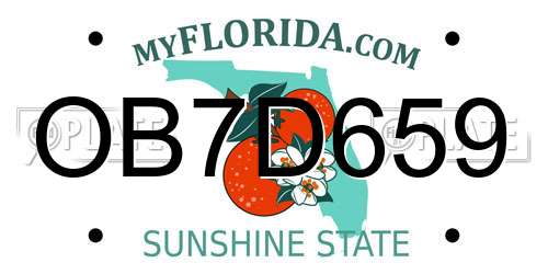 OB7D659 Florida License Plate
