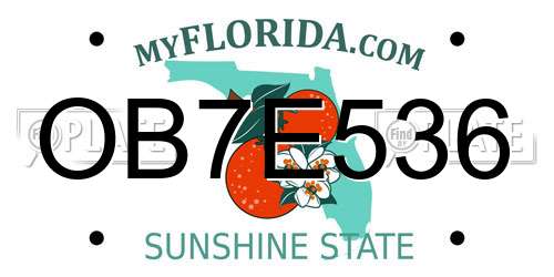 OB7E536 Florida License Plate