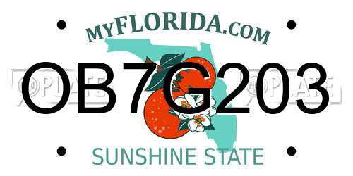 OB7G203 Florida License Plate