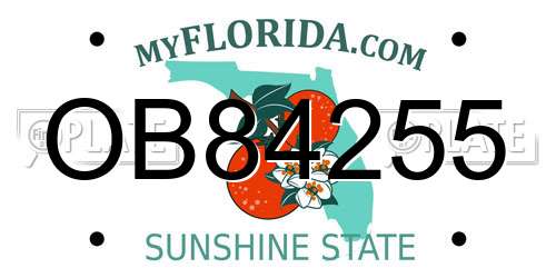 OB84255 Florida License Plate