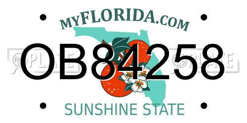 OB84258 Florida License Plate