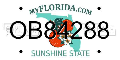 OB84288 Florida License Plate