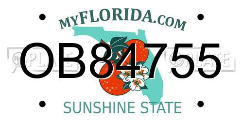 OB84755 Florida License Plate