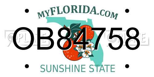 OB84758 Florida License Plate