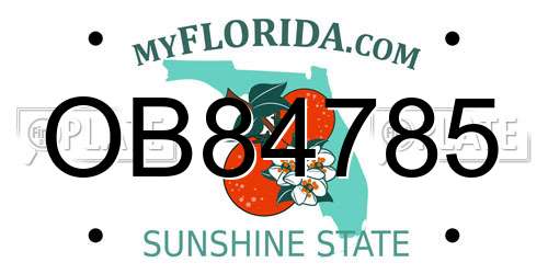 OB84785 Florida License Plate