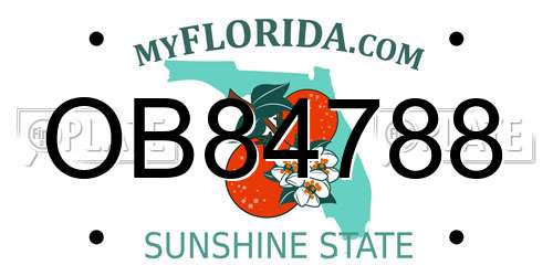 OB84788 Florida License Plate